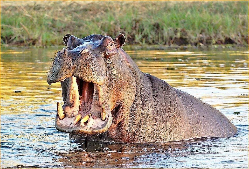 Mabalingwe Uzuri Lodge Бела-Бела Екстер'єр фото